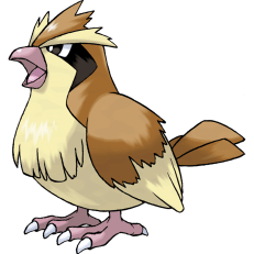 016pidgey